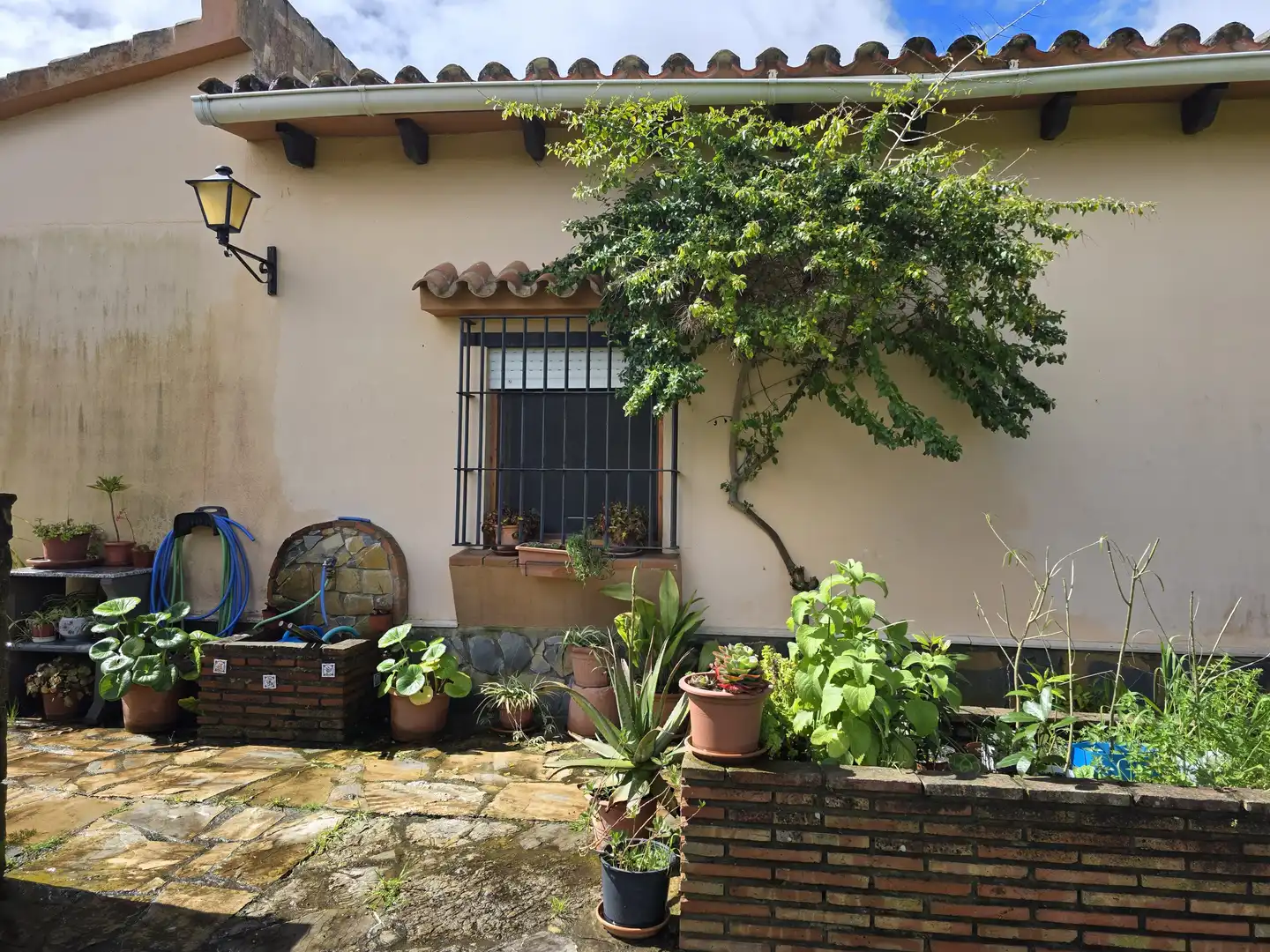 Casa rústica amb terrassa en venda a Los Barrios, imagen 46