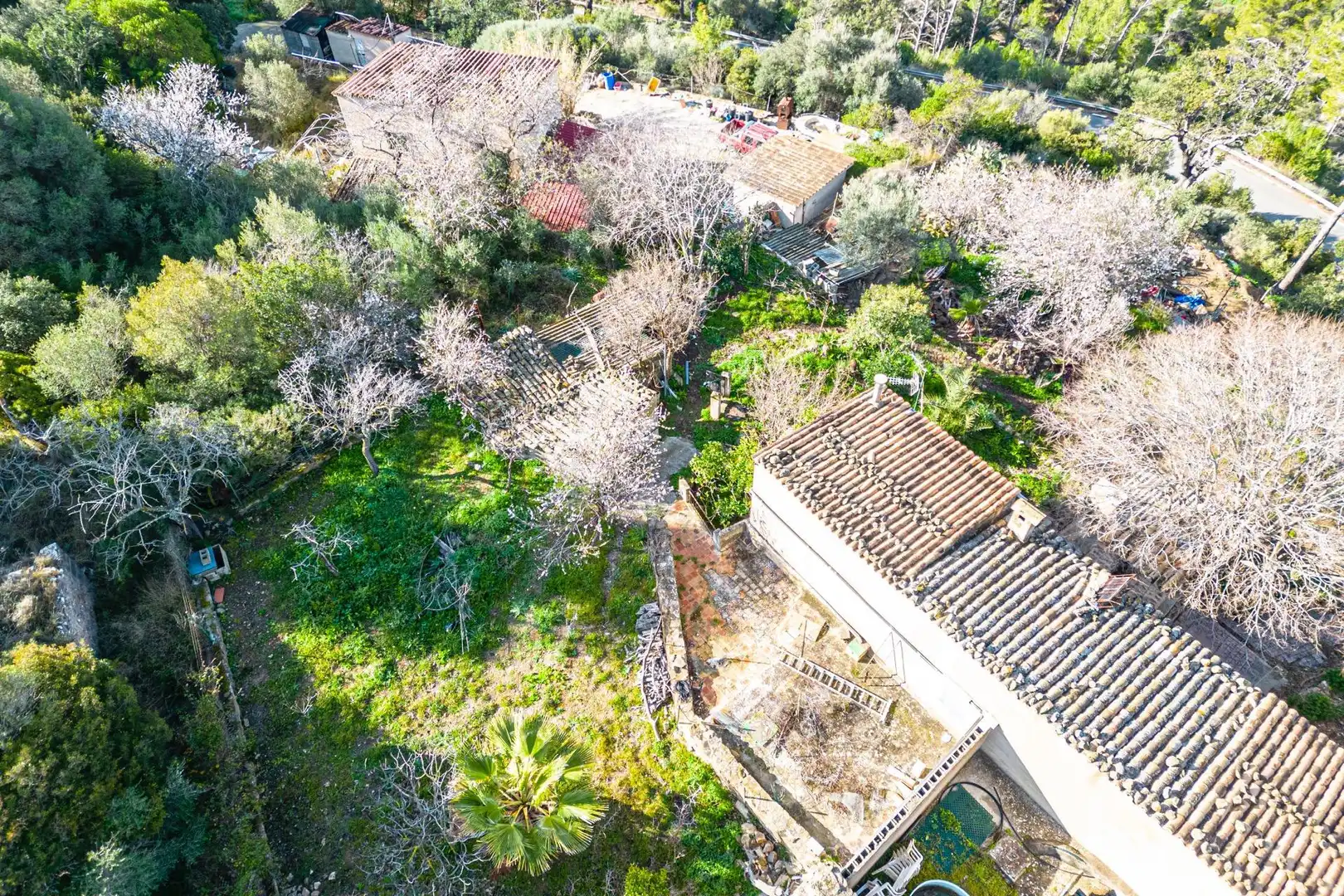 Casa con jardín en venta en Andratx pueblo, imagen 7