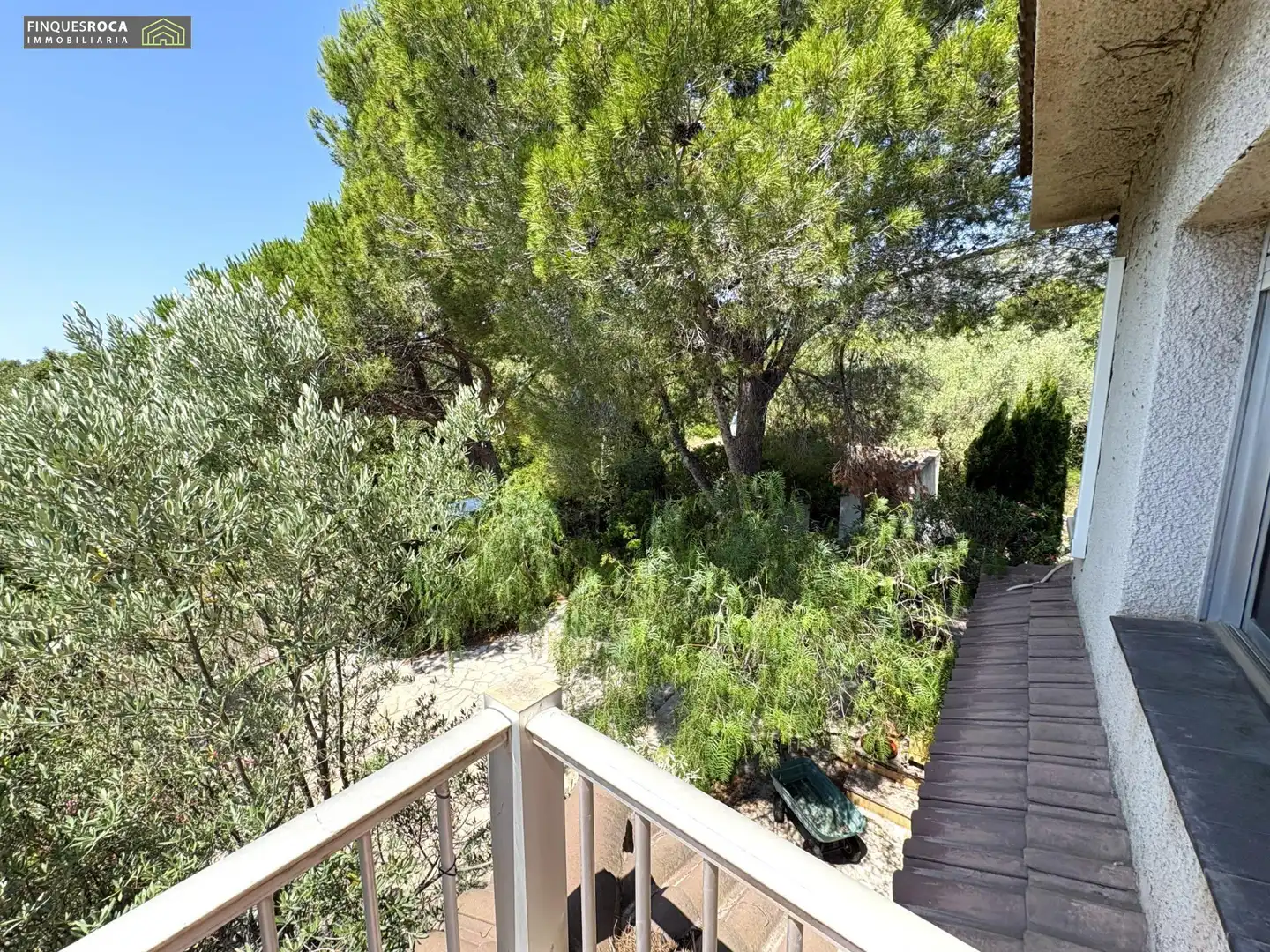 Jardí de Casa o xalet en venda en Alcanar amb Aire condicionat, Calefacció i Jardí privat