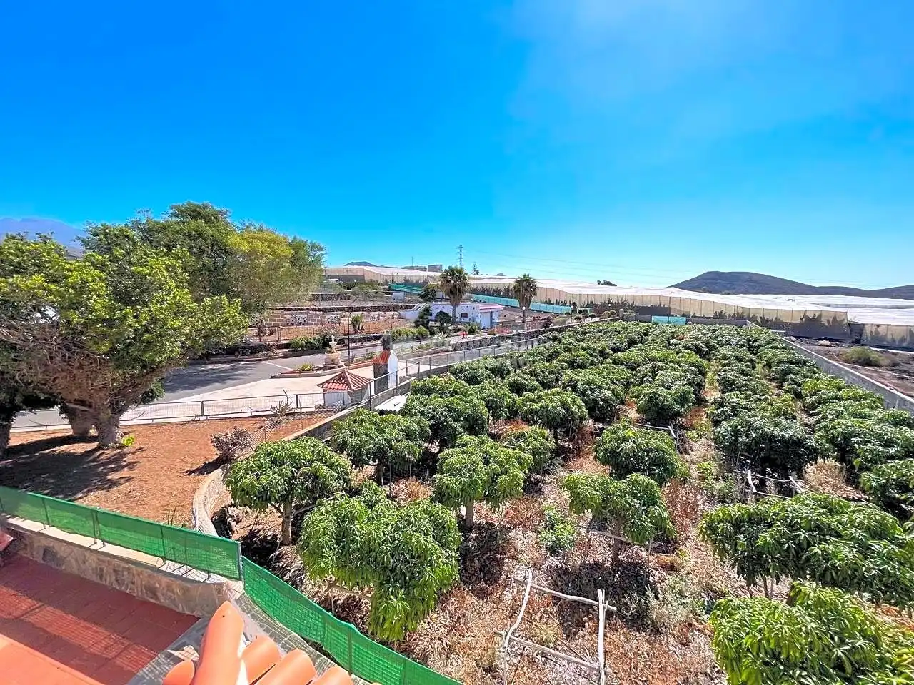 Vista exterior de Casa o chalet en venta en Arona con Jardín privado, Terraza y Piscina