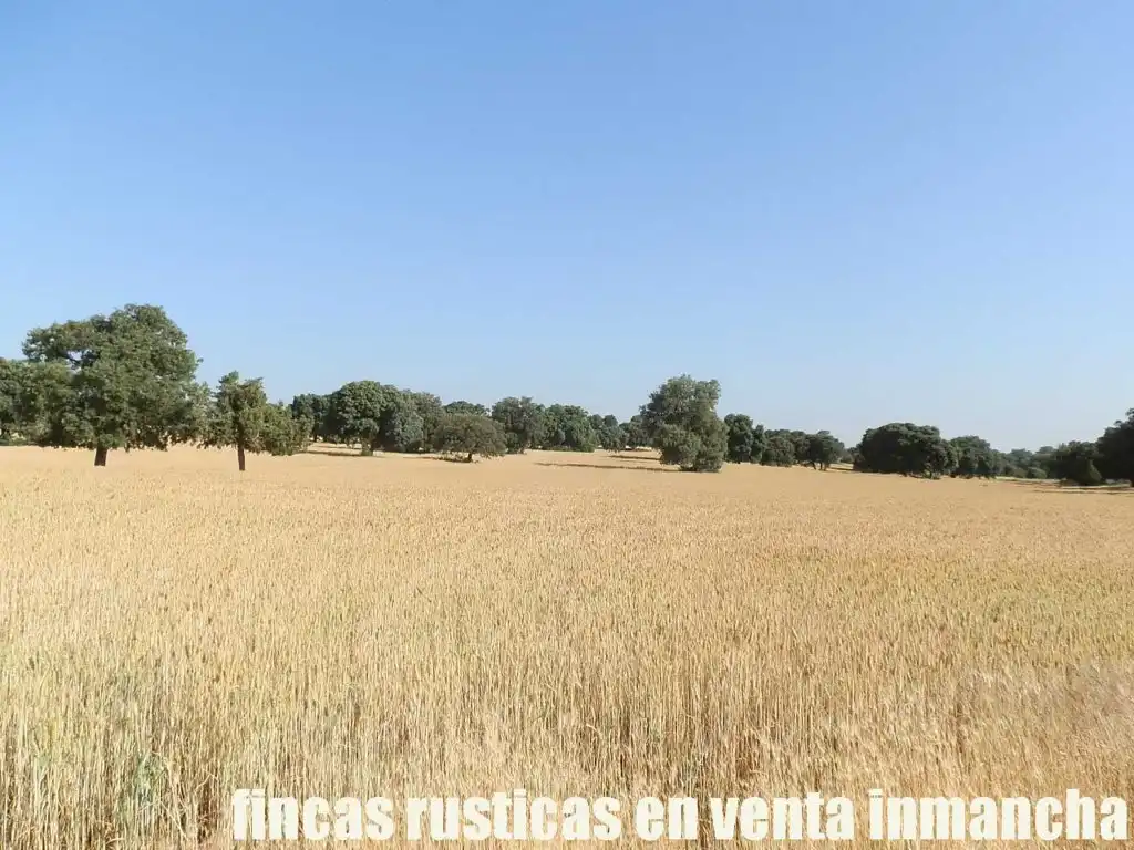 Terreno en venta en Alcaraz