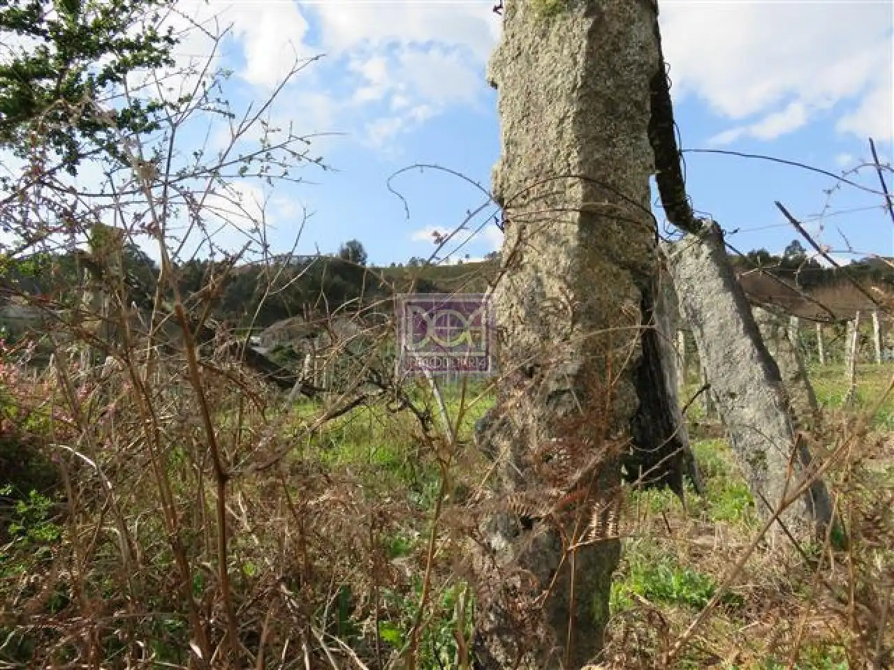 Terreno residenziale in vendita a Mondariz, imagen 2