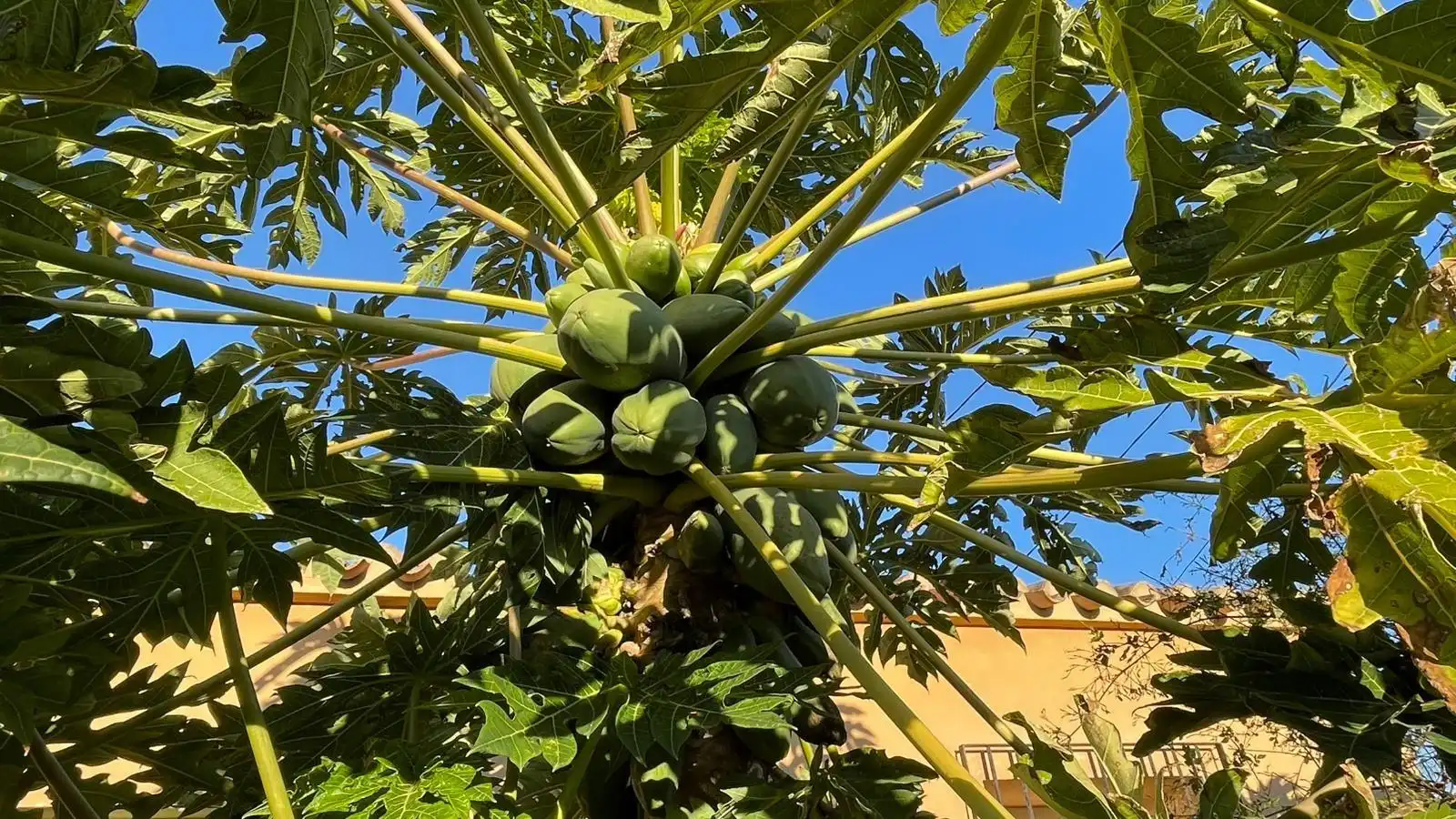 Casa rústica en venta en La Pinilla - Las Palas, imagen 29