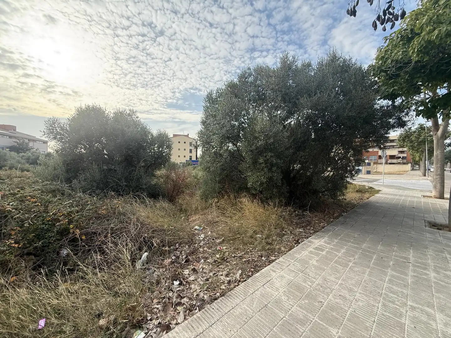 Terrain résidentiel à vendre à Carrer Josep Irla Bosch 46, imagen 6