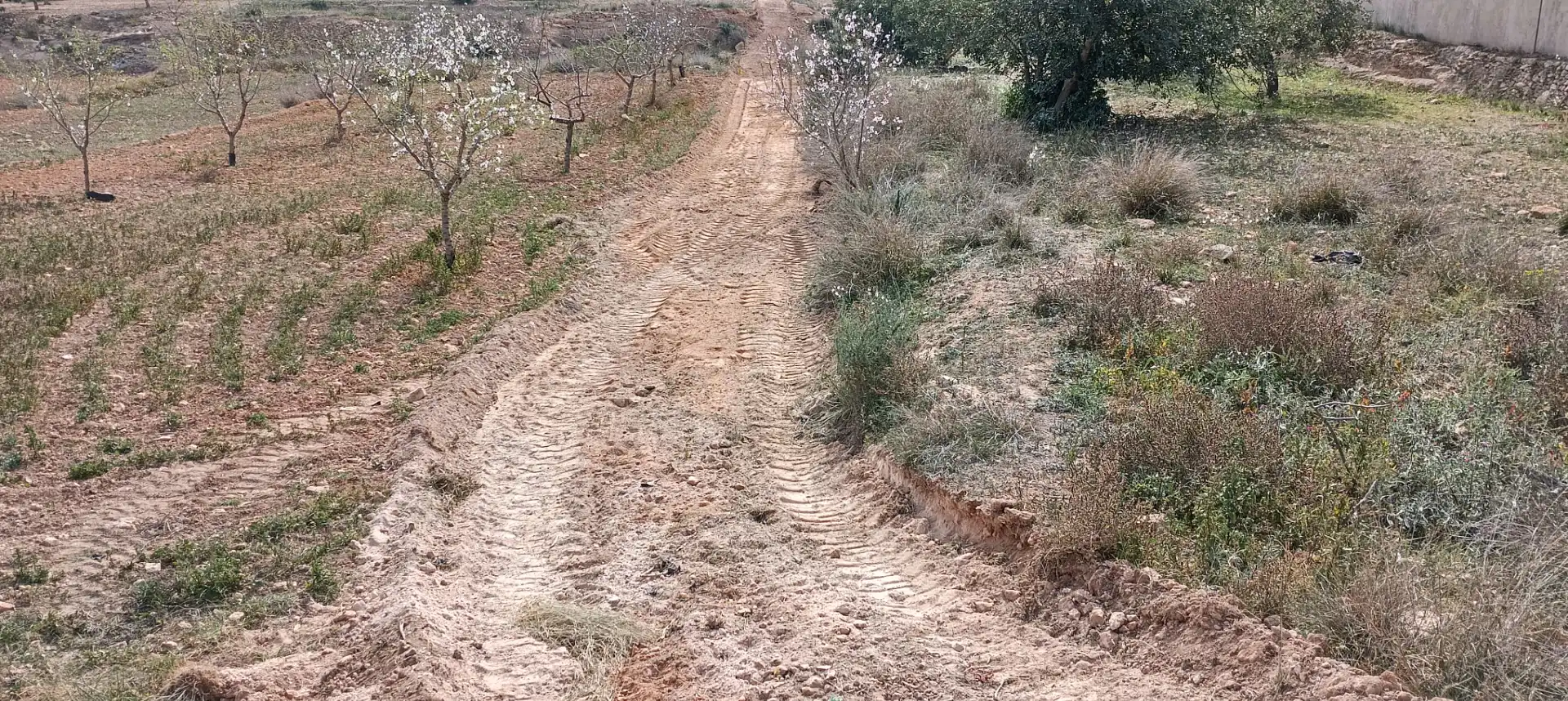 Terrenys i solars en venda a Pedanías Oeste, imagen 5