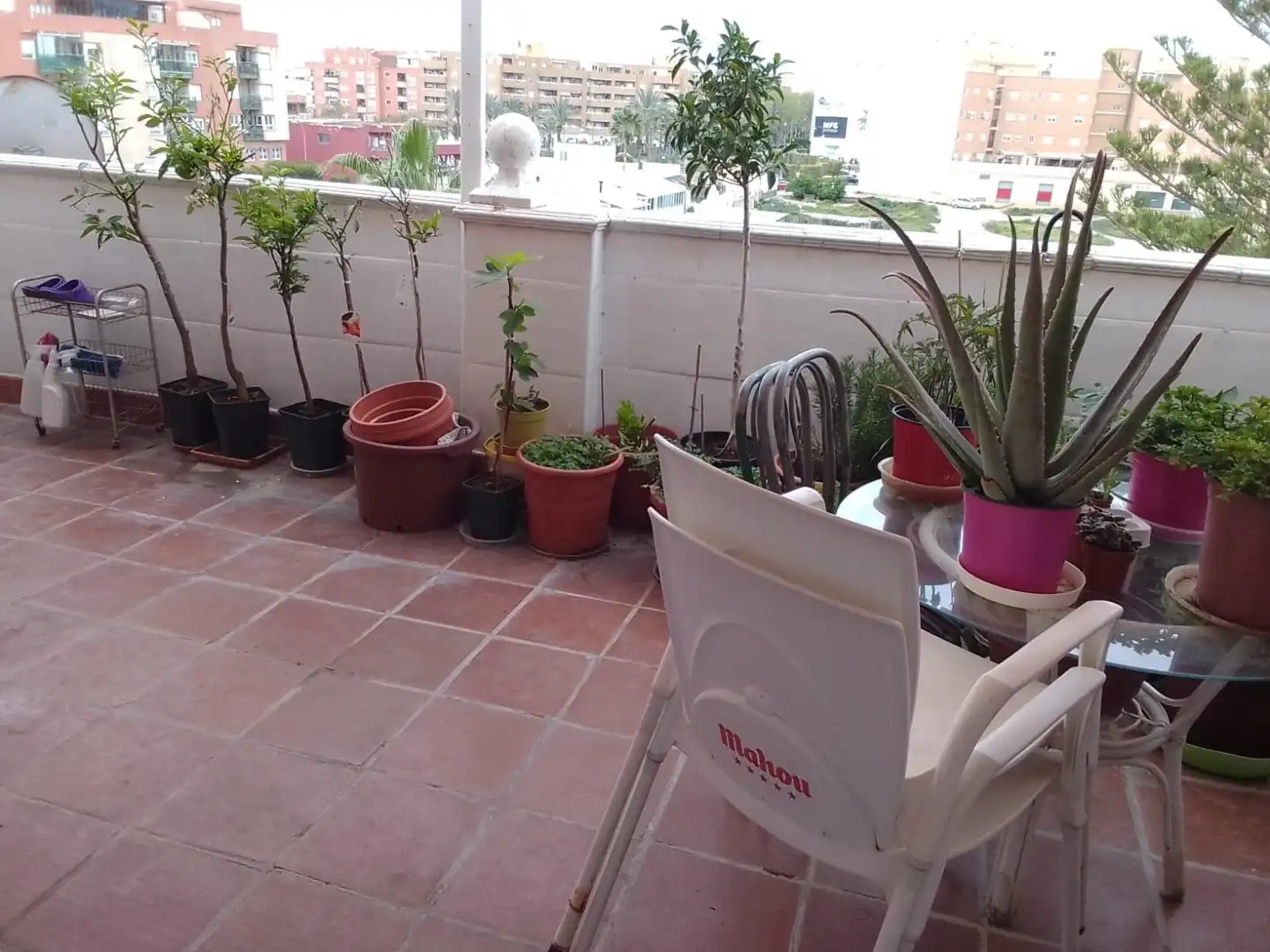 Terrassa de Àtic en venda en El Ejido amb Terrassa