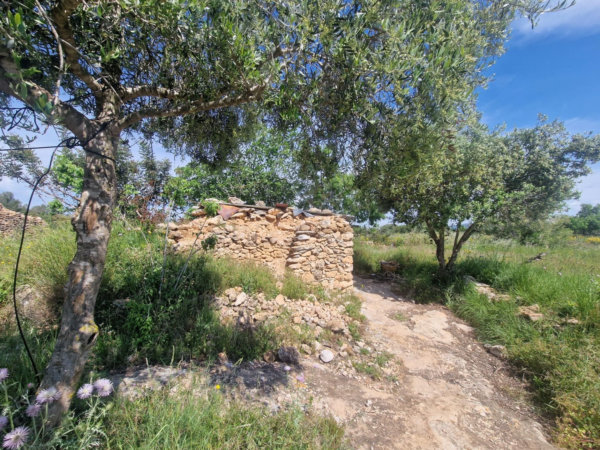 Grundstücke zum verkauf in  PLANAS, El Pla de Santa Maria
