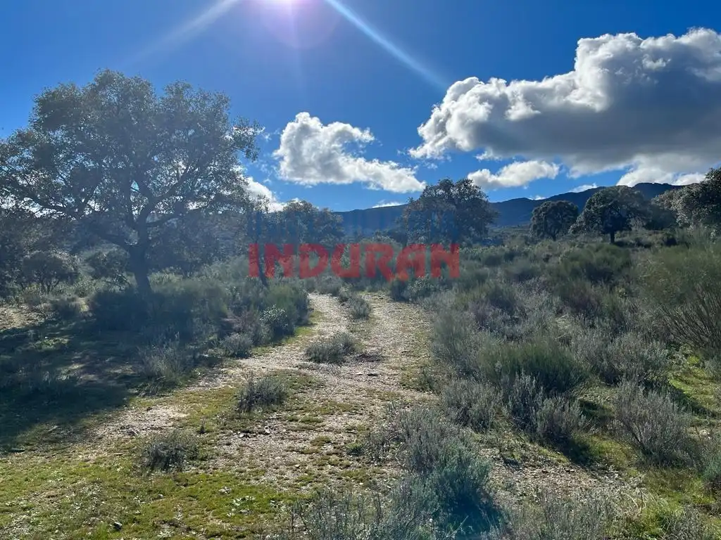 Finca rústica en venta en Carrascalejo