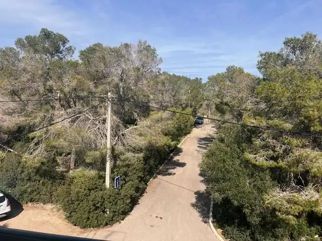 Apartament en venda a Sol de Mallorca
