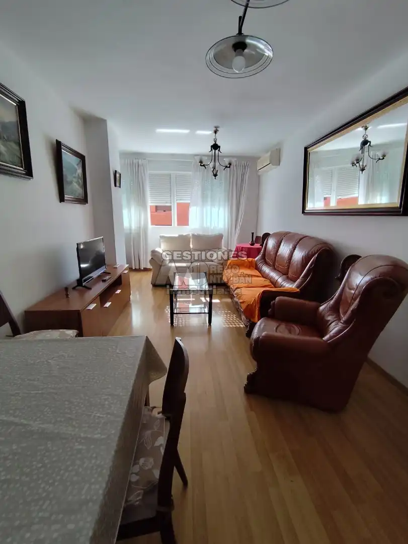 Living room of Flat for share in Granada  with Heating, Parquet flooring and Furnished