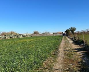 Land for sale in Chipiona