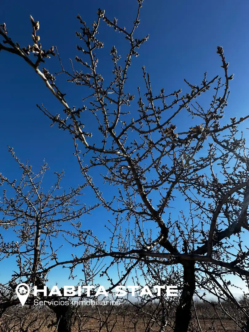 Exterior view of Land for sale in Baza