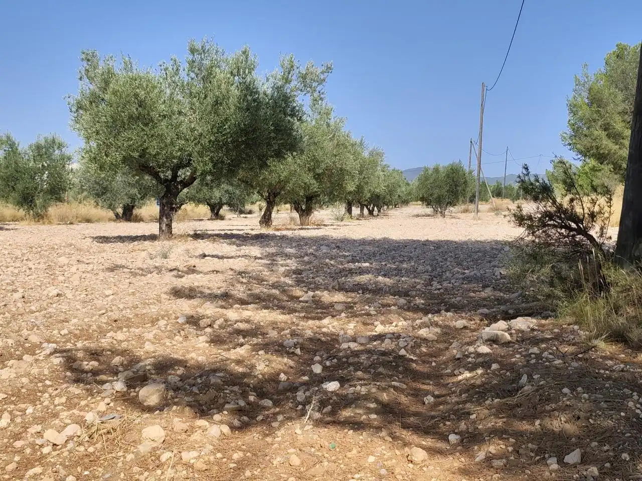 Terreno rustico in vendita a Castalla, imagen 26