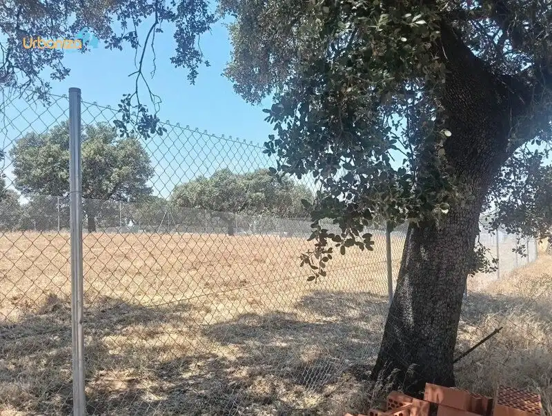 Terreni e lotti in vendita a Dehesilla de Calamón - Campomanes, imagen 17