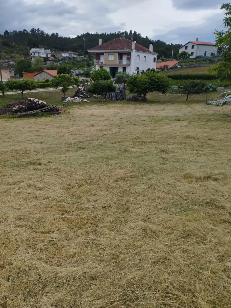 Terrenys i solars en venda a Amoeiro
