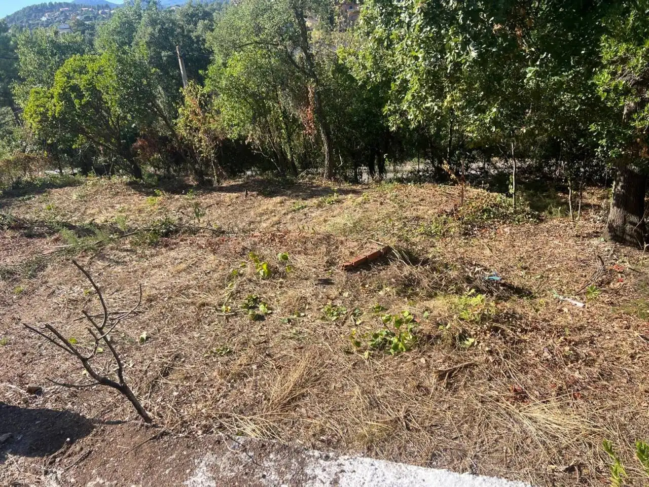 Casa o chalet en venta en Riudarenes con Jardín privado y Terraza