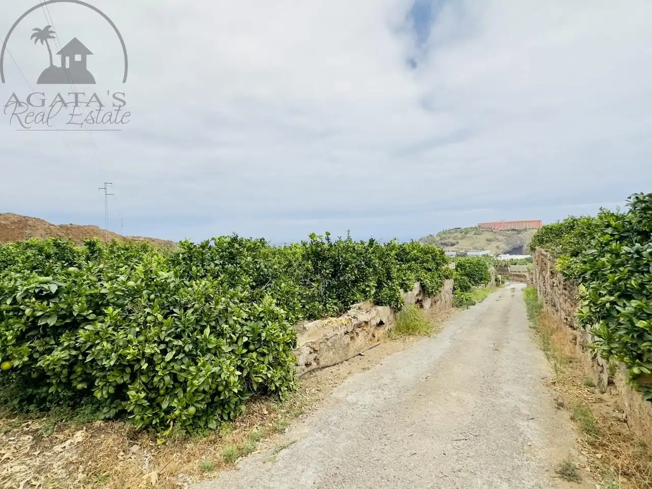 Vista exterior de Finca rústica en venta en La Orotava con Jardín privado y Terraza