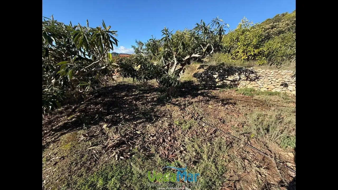 Finca rústica en venda en Otívar amb Jardí privat, Terrassa i Piscina