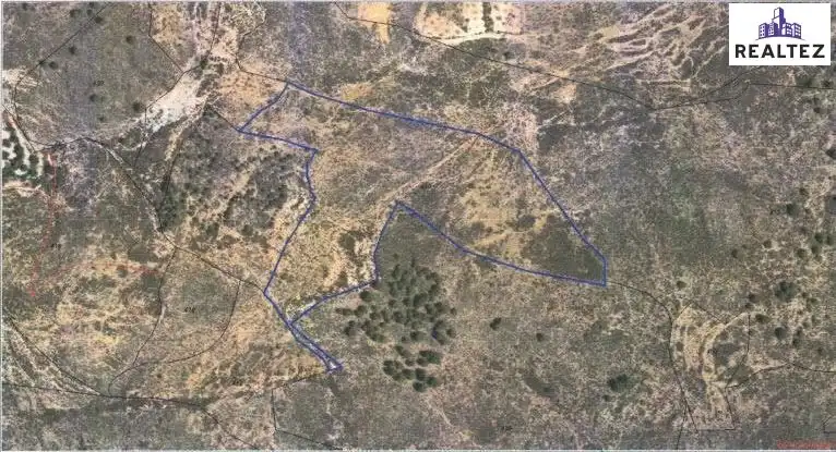Terrain rustique à vendre à Alcolea, imagen 24