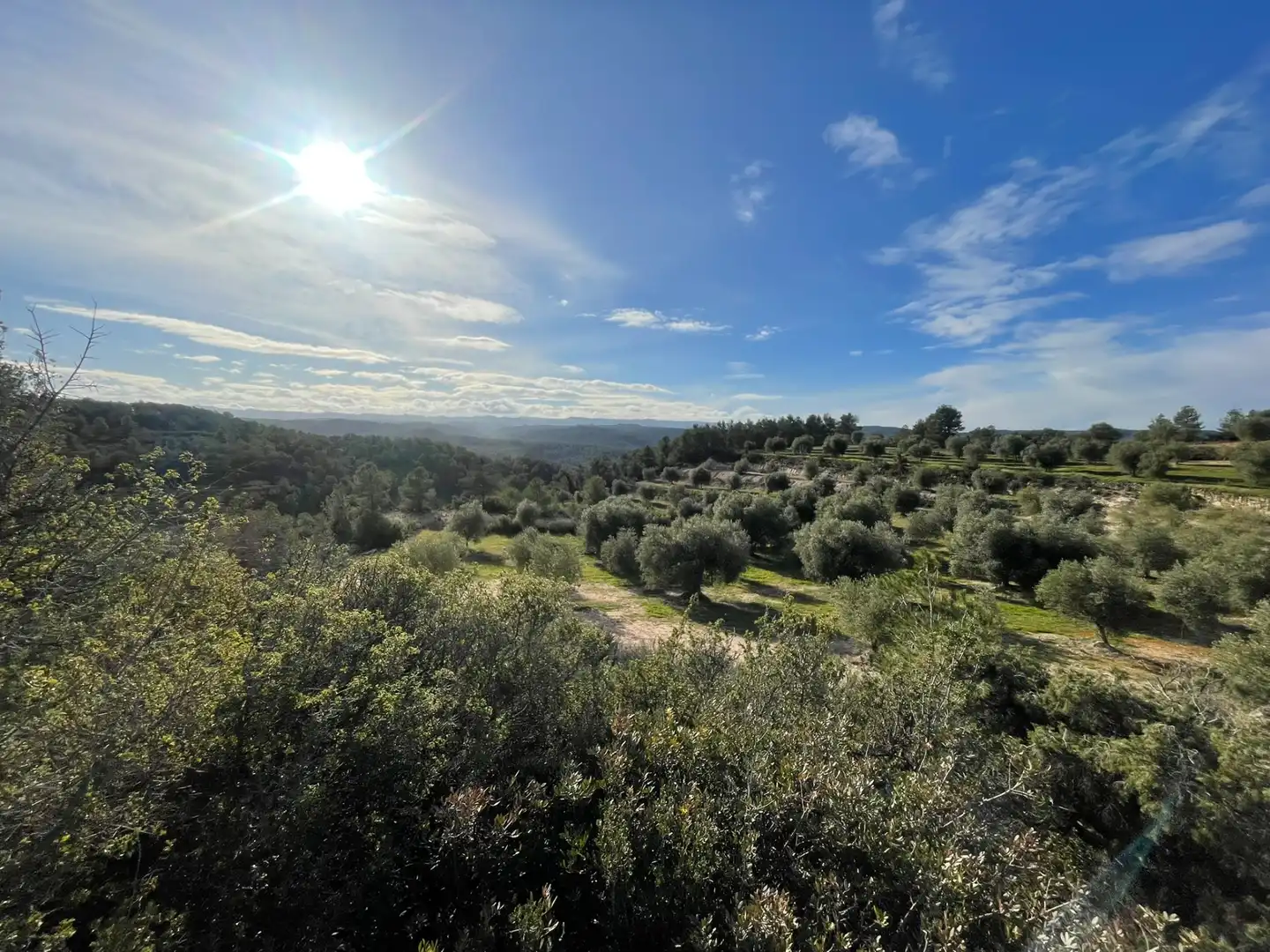 Rural land for sale in Cervià de Les Garrigues, imagen 23