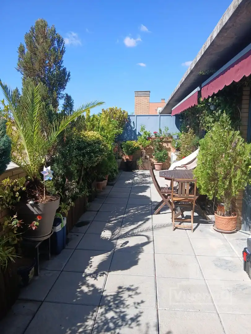 Attique avec piscine à vendre à Gloria  Fuertes, imagen 3
