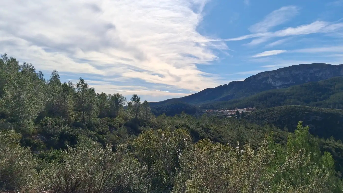 Vista exterior de Terreno en venta en Pratdip