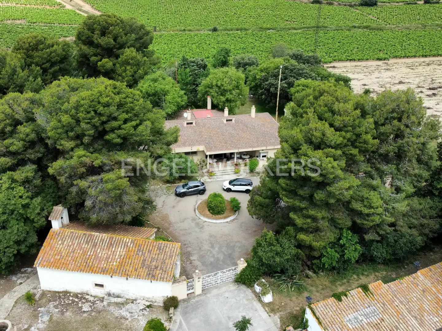 Vista exterior de Finca rústica en venda en Banyeres del Penedès amb Aire condicionat, Calefacció i Jardí privat