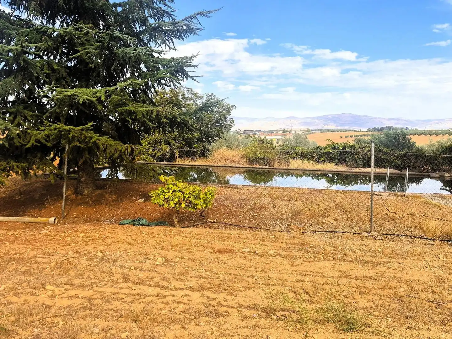 Terreny rústic en venda a Moraleda de Zafayona, imagen 2