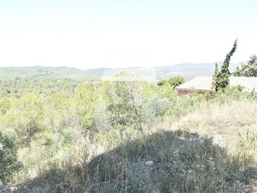Terreno rustico in vendita a La Bisbal del Penedès