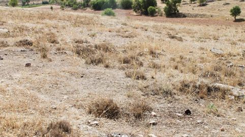Se vende Solar Urbano en Campo de Criptana, immagine 2
