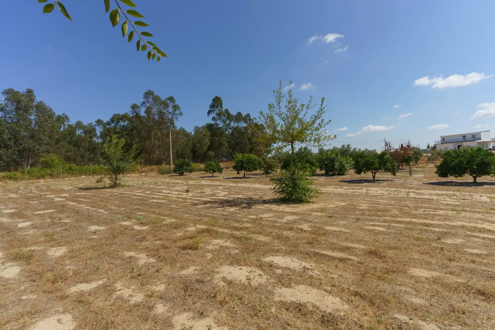 Finca rústica en venta en La Palma del Condado con Jardín privado, Terraza y Piscina