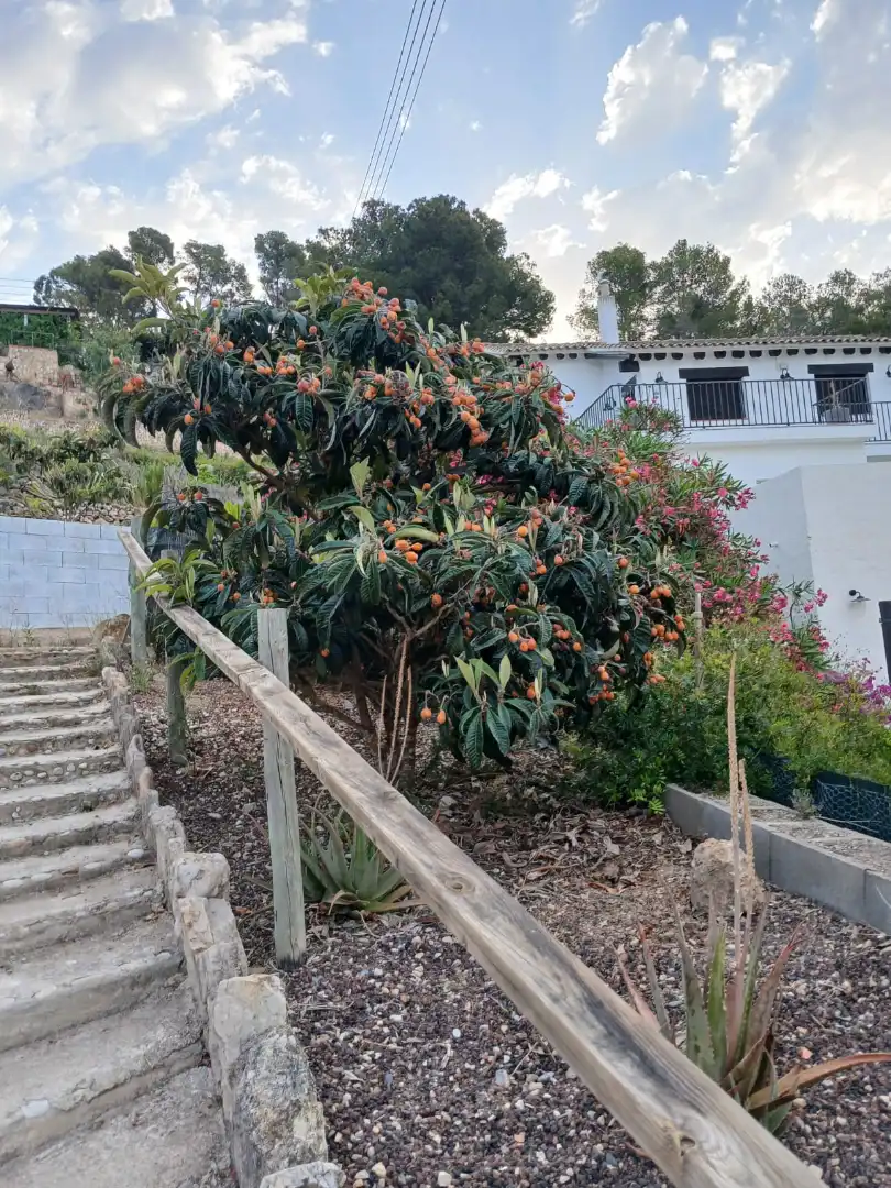 Casa o chalet en venta en Carrer Pau Casals, Vespella de Gaià