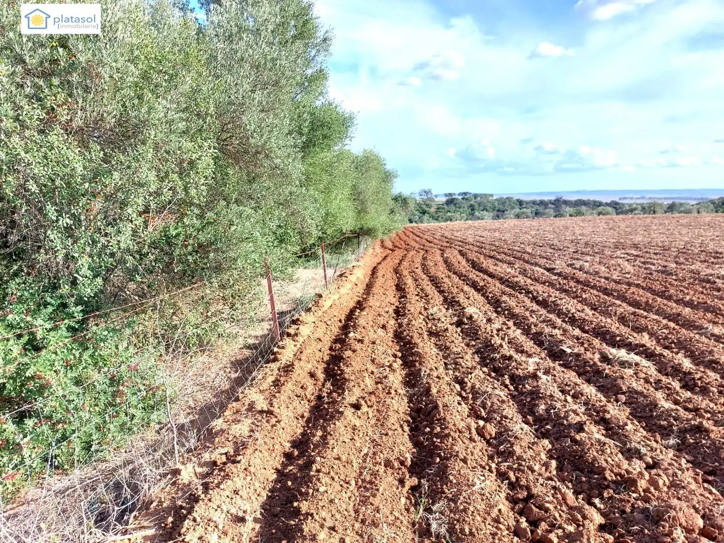Terreni e lotti in vendita a Camino del Camino de los Arrieros, imagen 45