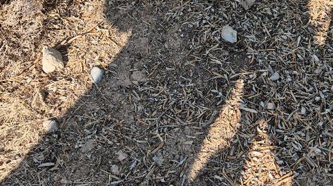 Foto 3 de Terreno en venta en Lagunilla del Jubera, La Rioja