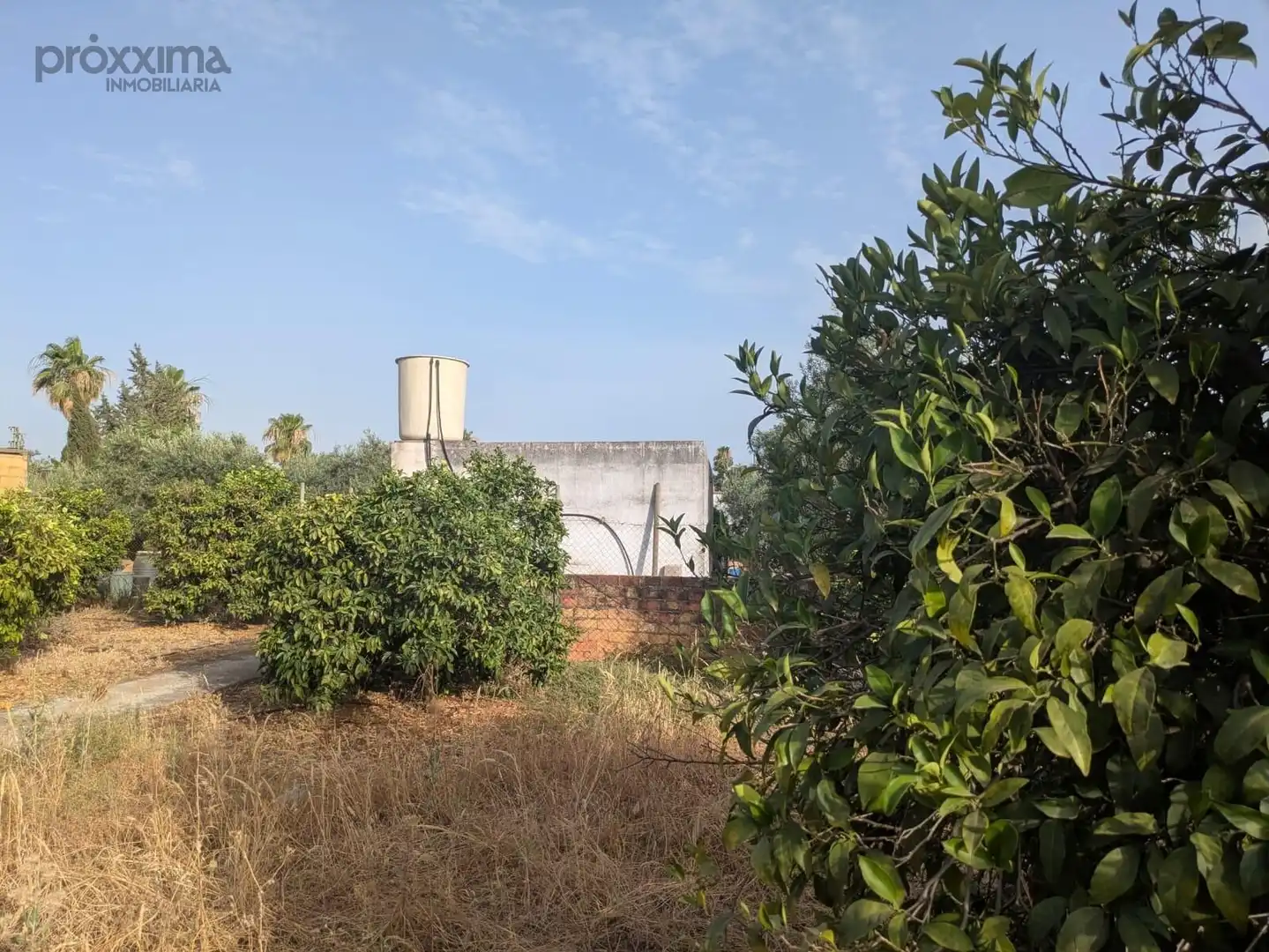 Finca rústica en venta en La Rinconada