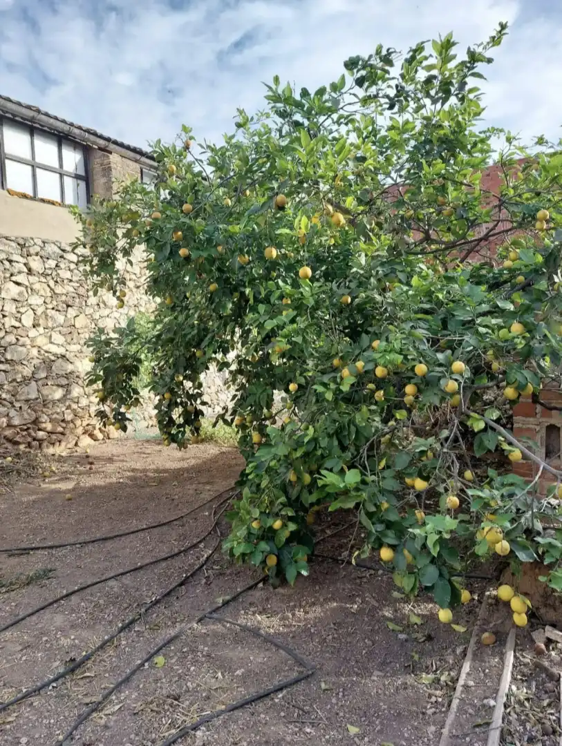 Casa amb jardí en venda a Avinguda Sant Cristòfol 1, imagen 14