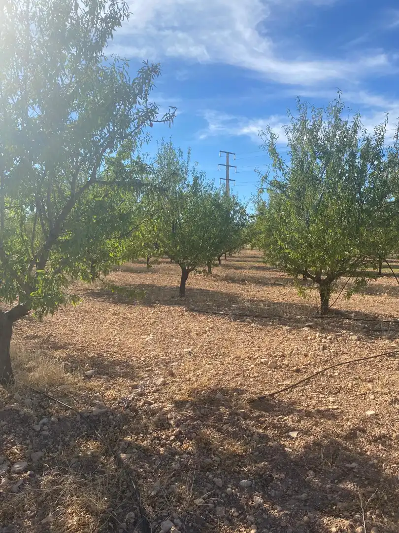 Terreno rustico in vendita a Calle García Pavón, imagen 36