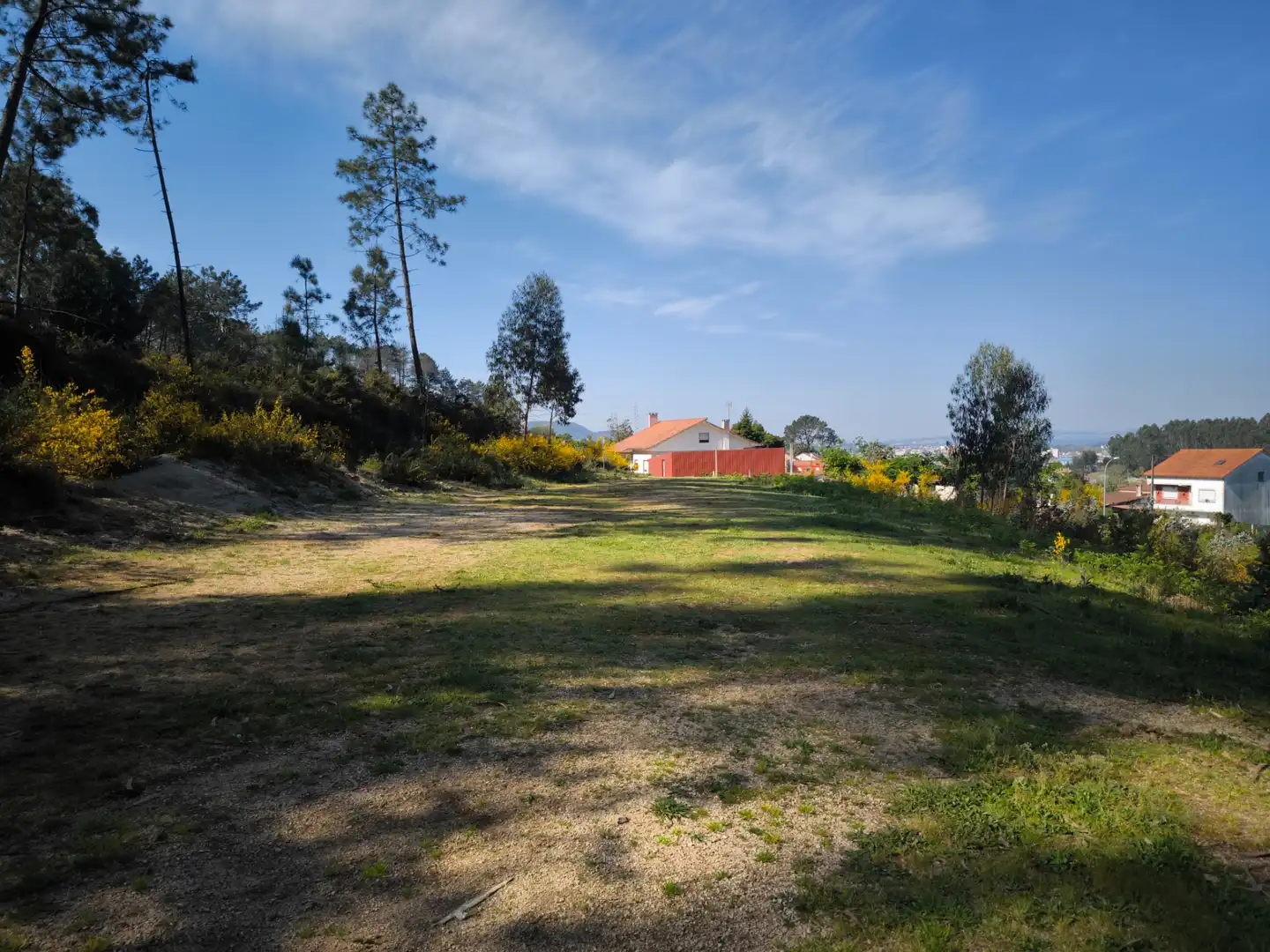 Terreno rustico in vendita a Cea, imagen 13