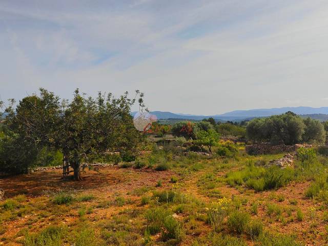 Terreno en Venta en MAS DE BORRAS en Vilanova d'Alcolea