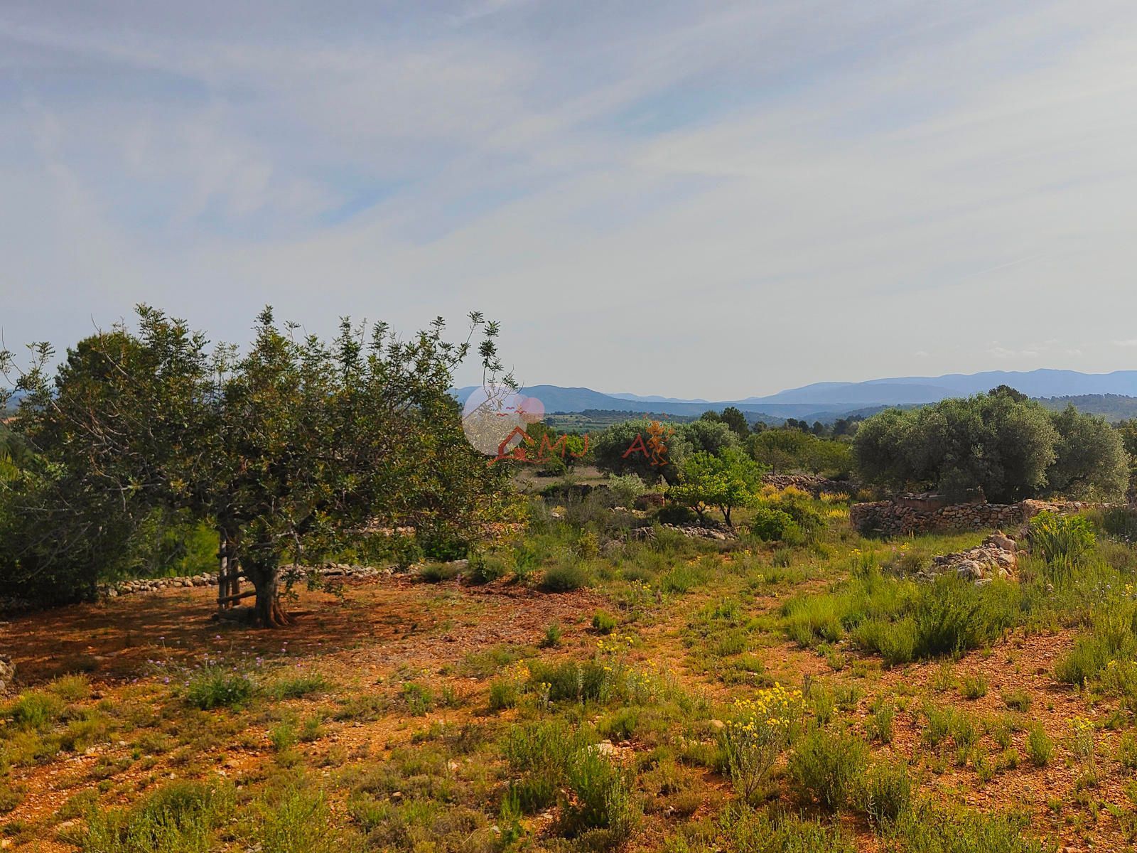 Grundstücke zum verkauf in Vilanova d'Alcolea