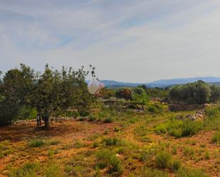 Land for sale in Vilanova d'Alcolea