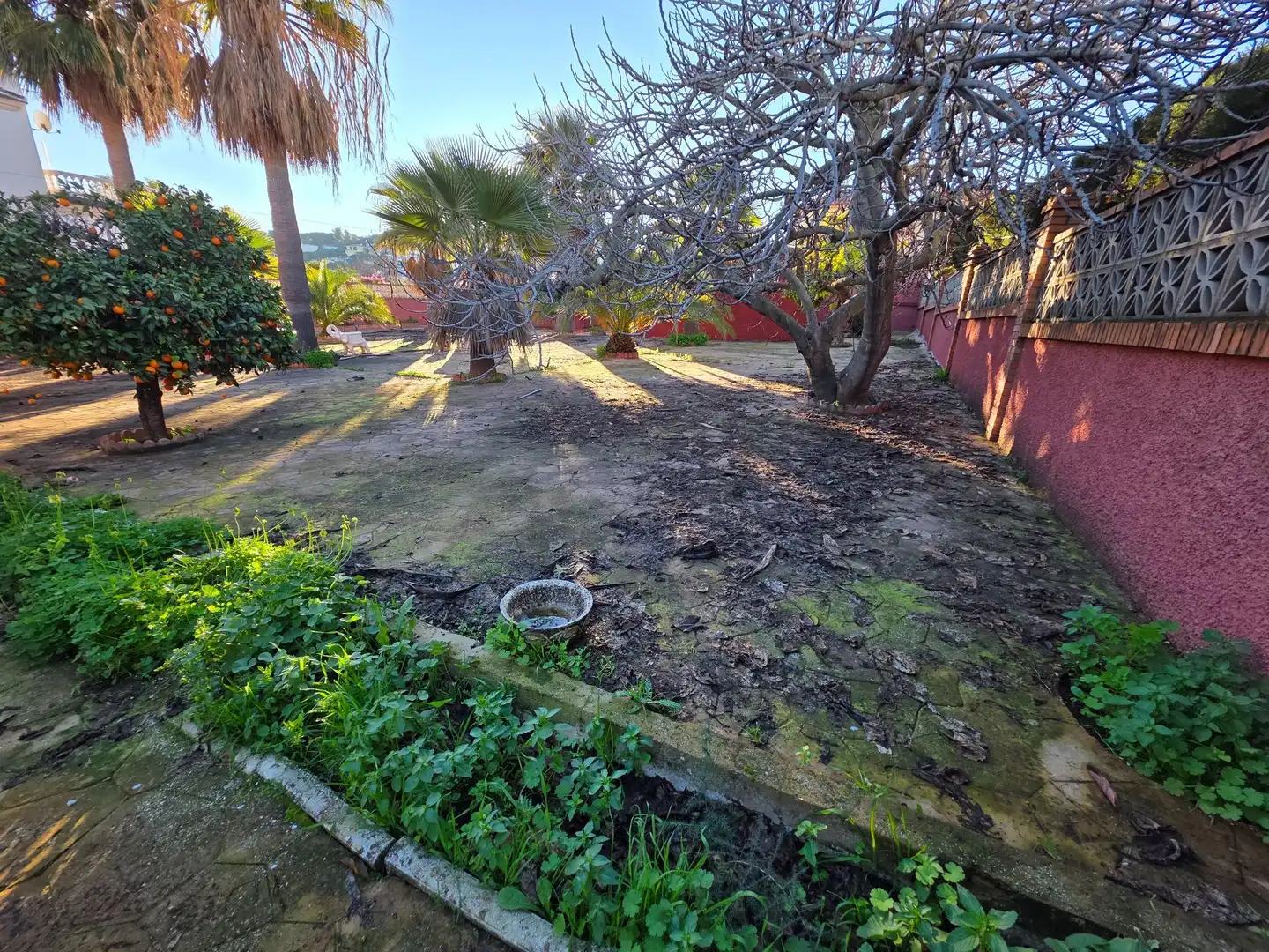Jardí de Casa o xalet en venda en Alhaurín de la Torre amb Aire condicionat, Calefacció i Jardí privat