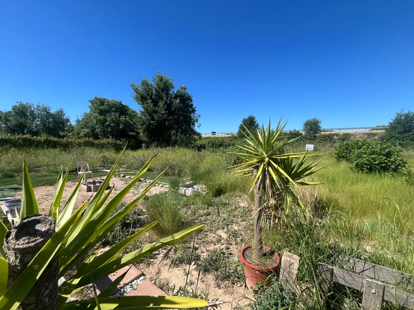 Land for sale in Constantí