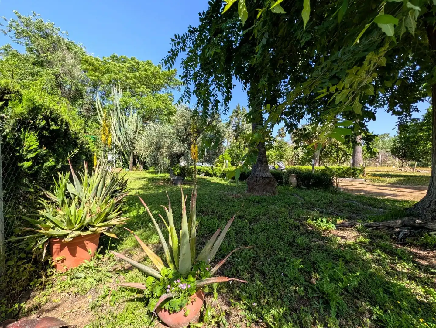 Chalet con jardín en venta en Sanlúcar la Mayor, imagen 26