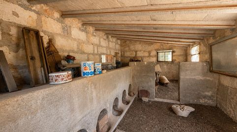 Foto 3 de Finca rústica en venta en Diseminado Diseminados Var, 571, Costitx, Illes Balears