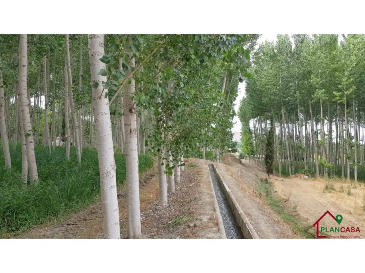 Exterior view of Land for sale in Purullena