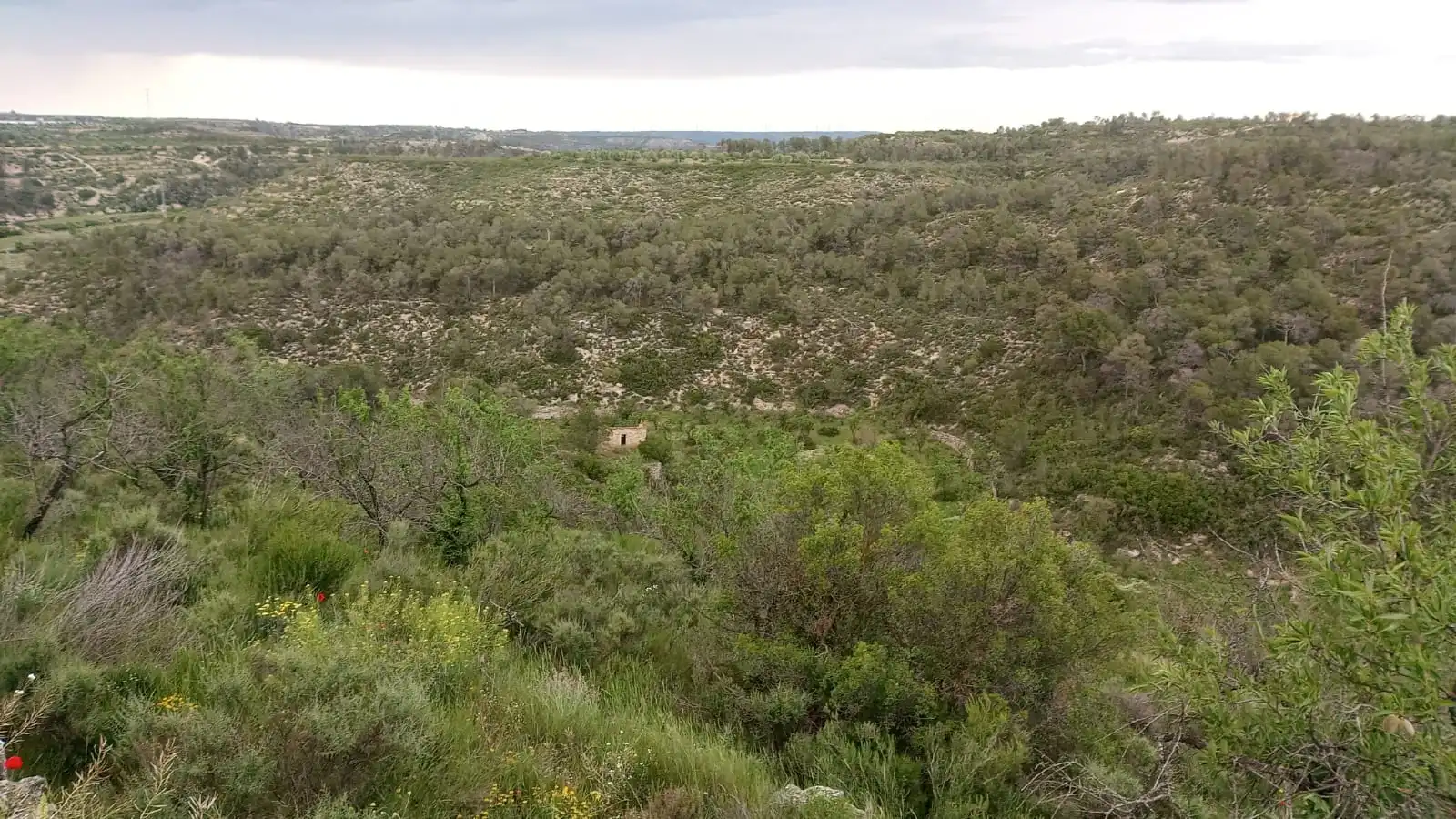 Finca rústica en venta en Vilalba dels Arcs