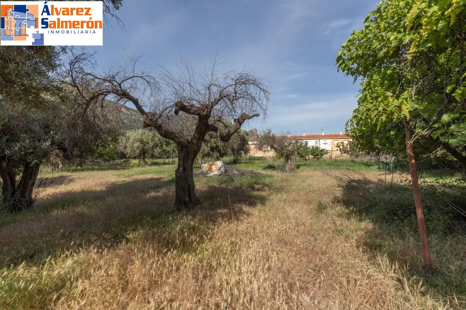 Lands and plots for sale in Carretera de Maitena, imagen 3
