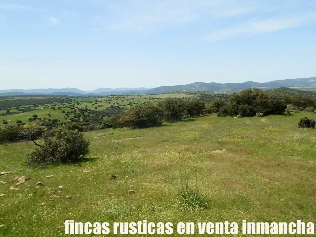 Rural land for sale in Calzada de Calatrava, imagen 24
