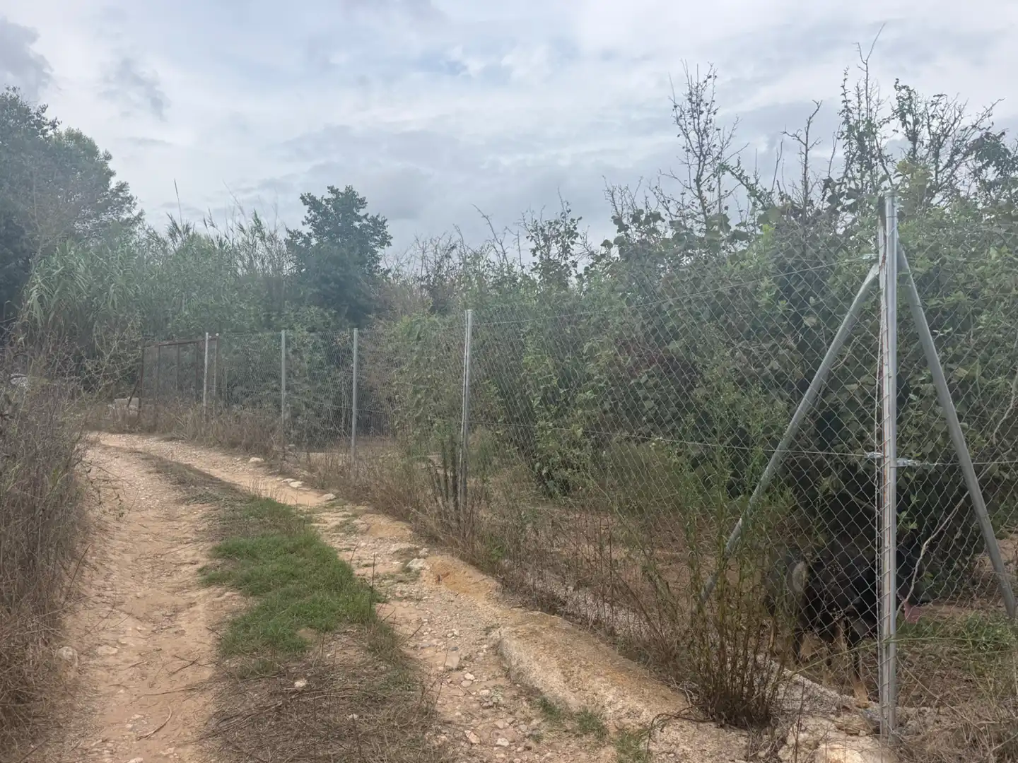 Terreny rústic en venda a Carretera del Catllar 22, imagen 19